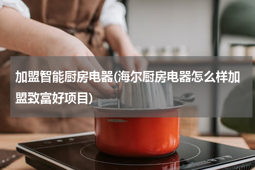 加盟智能厨房电器(海尔厨房电器怎么样加盟致富好项目)