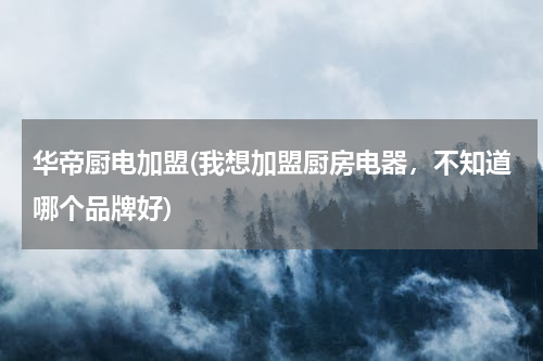 华帝厨电加盟(我想加盟厨房电器，不知道哪个品牌好)
