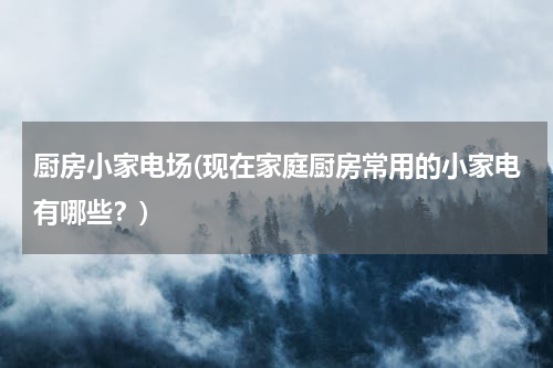 厨房小家电场(现在家庭厨房常用的小家电有哪些？)