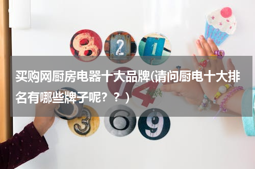 买购网厨房电器十大品牌(请问厨电十大排名有哪些牌子呢？？)