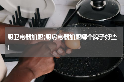 厨卫电器加盟(厨房电器加盟哪个牌子好些)