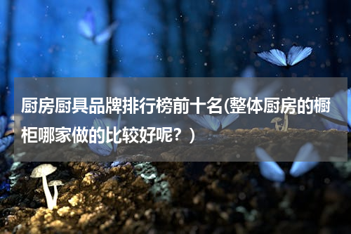 厨房厨具品牌排行榜前十名(整体厨房的橱柜哪家做的比较好呢？)