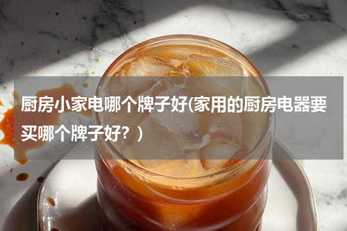 厨房小家电哪个牌子好(家用的厨房电器要买哪个牌子好？)