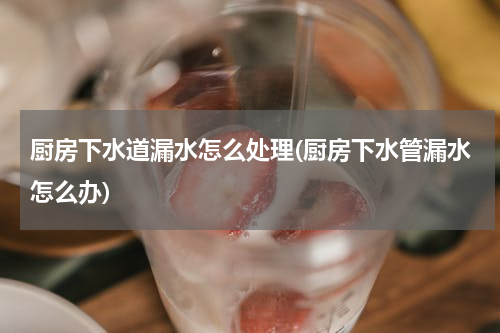 厨房下水道漏水怎么处理(厨房下水管漏水怎么办)
