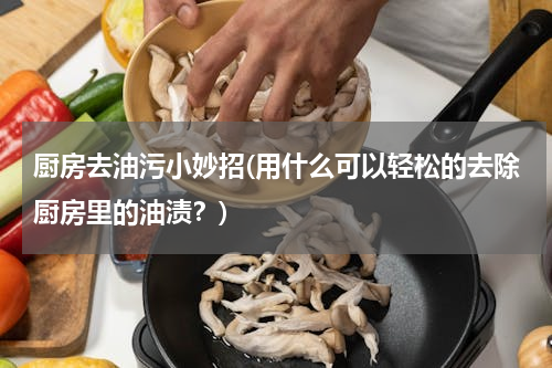 厨房去油污小妙招(用什么可以轻松的去除厨房里的油渍？)