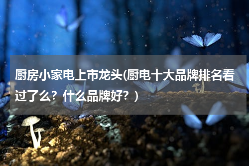 厨房小家电上市龙头(厨电十大品牌排名看过了么？什么品牌好？)