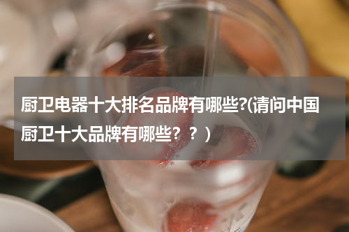 厨卫电器十大排名品牌有哪些?(请问中国厨卫十大品牌有哪些？？)