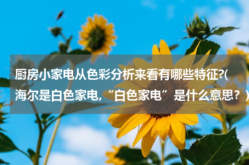 厨房小家电从色彩分析来看有哪些特征?(海尔是白色家电,“白色家电”是什么意思？)