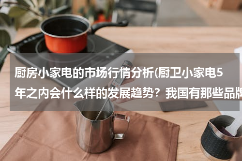 厨房小家电的市场行情分析(厨卫小家电5年之内会什么样的发展趋势？我国有那些品牌的厨卫家电你知道吗？)
