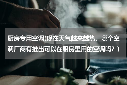 厨房专用空调(现在天气越来越热，哪个空调厂商有推出可以在厨房里用的空调吗？)