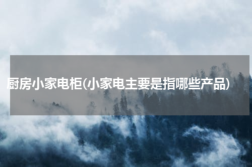 厨房小家电柜(小家电主要是指哪些产品)
