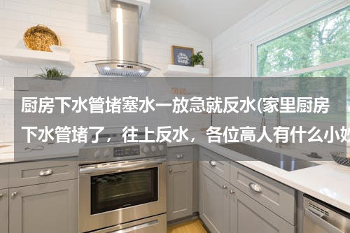 厨房下水管堵塞水一放急就反水(家里厨房下水管堵了，往上反水，各位高人有什么小妙招请指教我下呗，不知道怎么办才好)