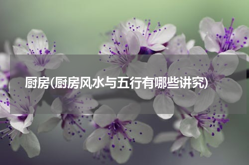 厨房(厨房风水与五行有哪些讲究)