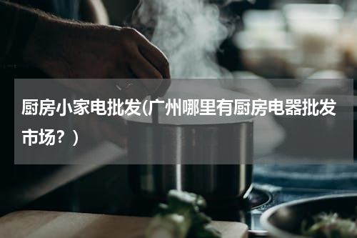 厨房小家电批发(广州哪里有厨房电器批发市场？)