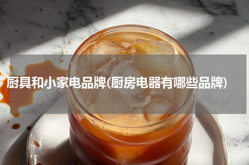 厨具和小家电品牌(厨房电器有哪些品牌)