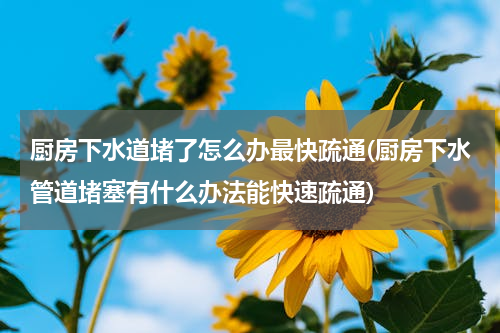厨房下水道堵了怎么办最快疏通(厨房下水管道堵塞有什么办法能快速疏通)