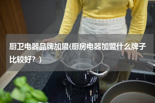 厨卫电器品牌加盟(厨房电器加盟什么牌子比较好？)