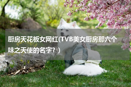 厨房天花板女网红(TVB美女厨房那六个味之天使的名字？)