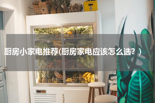 厨房小家电推荐(厨房家电应该怎么选？)