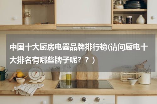 中国十大厨房电器品牌排行榜(请问厨电十大排名有哪些牌子呢？？)