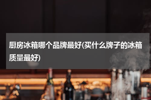厨房冰箱哪个品牌最好(买什么牌子的冰箱质量最好)