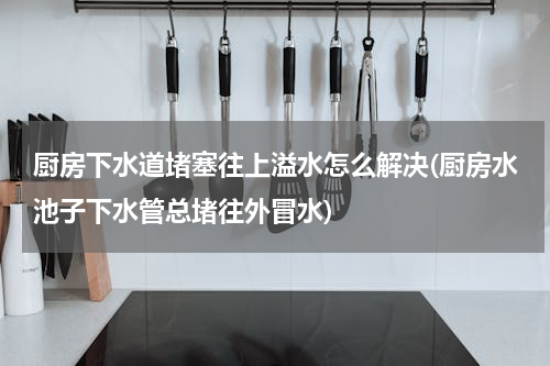 厨房下水道堵塞往上溢水怎么解决(厨房水池子下水管总堵往外冒水)