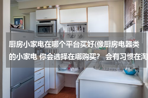 厨房小家电在哪个平台买好(像厨房电器类的小家电 你会选择在哪购买？ 会有习惯在淘宝上搜本地的经销商吗？)