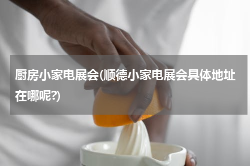 厨房小家电展会(顺德小家电展会具体地址在哪呢?)