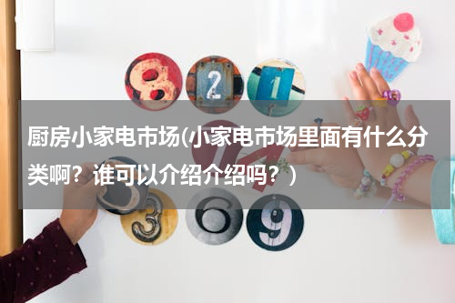厨房小家电市场(小家电市场里面有什么分类啊？谁可以介绍介绍吗？)