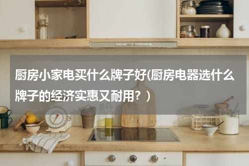 厨房小家电买什么牌子好(厨房电器选什么牌子的经济实惠又耐用？)
