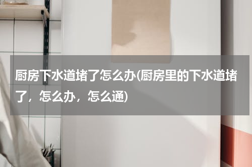 厨房下水道堵了怎么办(厨房里的下水道堵了，怎么办，怎么通)