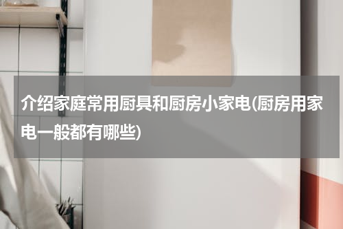 介绍家庭常用厨具和厨房小家电(厨房用家电一般都有哪些)