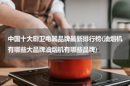 中国十大厨卫电器品牌最新排行榜(油烟机有哪些大品牌油烟机有哪些品牌)