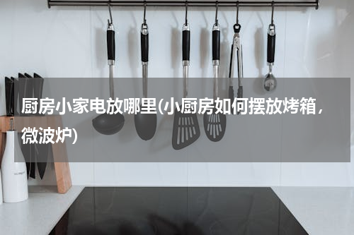 厨房小家电放哪里(小厨房如何摆放烤箱，微波炉)