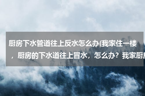 厨房下水管道往上反水怎么办(我家住一楼 ，厨房的下水道往上冒水，怎么办？我家厨房的下水道就没用过，不知道怎么会冒水了？)