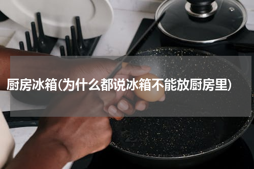 厨房冰箱(为什么都说冰箱不能放厨房里)