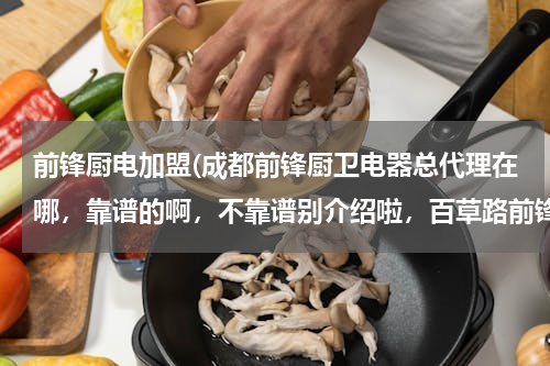 前锋厨电加盟(成都前锋厨卫电器总代理在哪，靠谱的啊，不靠谱别介绍啦，百草路前锋厂可以直接拿货吗？)