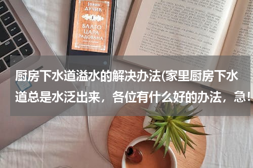 厨房下水道溢水的解决办法(家里厨房下水道总是水泛出来，各位有什么好的办法，急！)