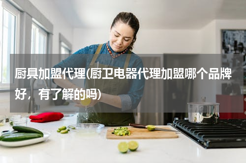 厨具加盟代理(厨卫电器代理加盟哪个品牌好，有了解的吗)