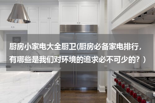 厨房小家电大全厨卫(厨房必备家电排行，有哪些是我们对环境的追求必不可少的？)