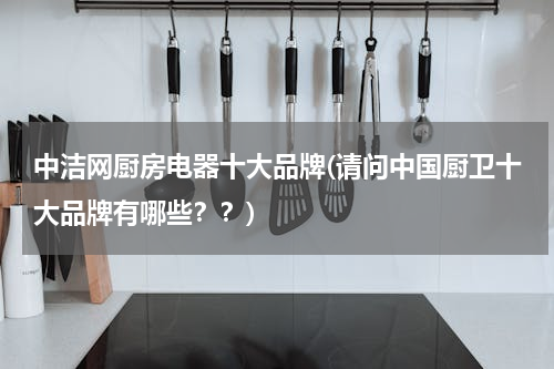 中洁网厨房电器十大品牌(请问中国厨卫十大品牌有哪些？？)