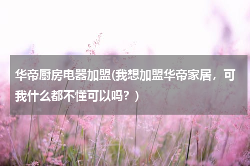 华帝厨房电器加盟(我想加盟华帝家居，可我什么都不懂可以吗？)
