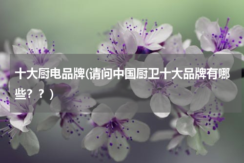 十大厨电品牌(请问中国厨卫十大品牌有哪些？？)
