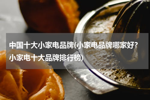 中国十大小家电品牌(小家电品牌哪家好？小家电十大品牌排行榜)