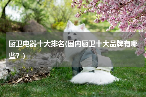 厨卫电器十大排名(国内厨卫十大品牌有哪些？)