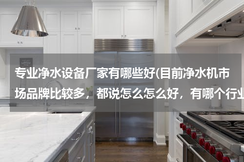 专业净水设备厂家有哪些好(目前净水机市场品牌比较多，都说怎么怎么好，有哪个行业人士能推荐几个比较靠谱的厂家吗？)