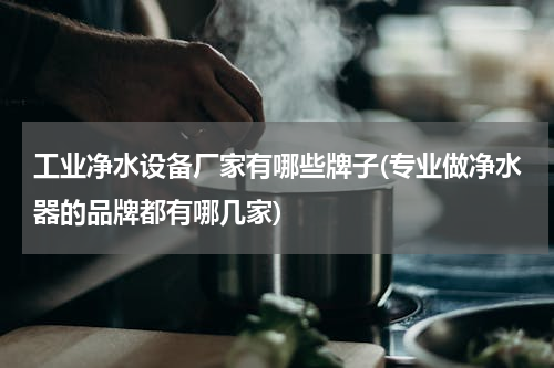 工业净水设备厂家有哪些牌子(专业做净水器的品牌都有哪几家)