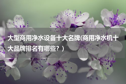 大型商用净水设备十大名牌(商用净水机十大品牌排名有哪些？)