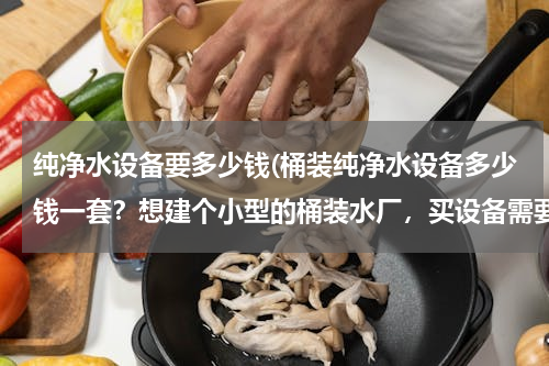 纯净水设备要多少钱(桶装纯净水设备多少钱一套？想建个小型的桶装水厂，买设备需要多少钱？)