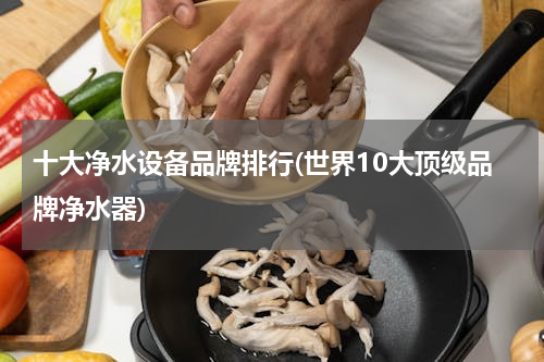 十大净水设备品牌排行(世界10大顶级品牌净水器)